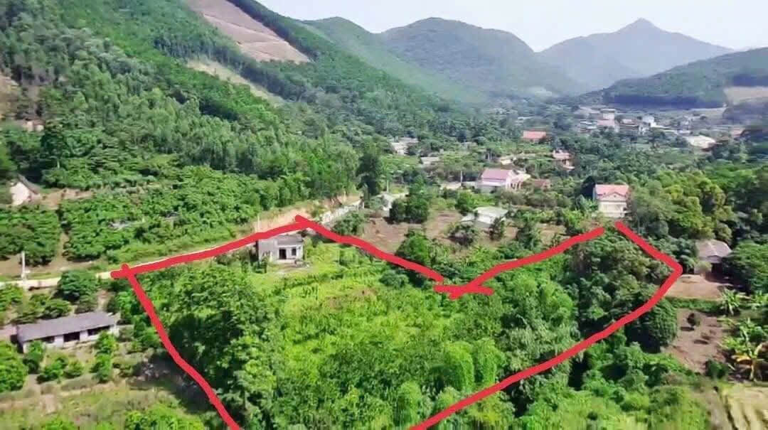 Đất Vườn Nghỉ Dưỡng 5000m² View Suối Chí Linh - Sẵn Sàng Đầu Tư