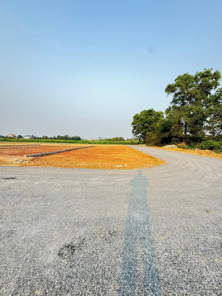 Đất nền lô góc Nghi Trường Thái Hòa 198m² giá 2 tỷ - Hạ tầng hoàn thiện