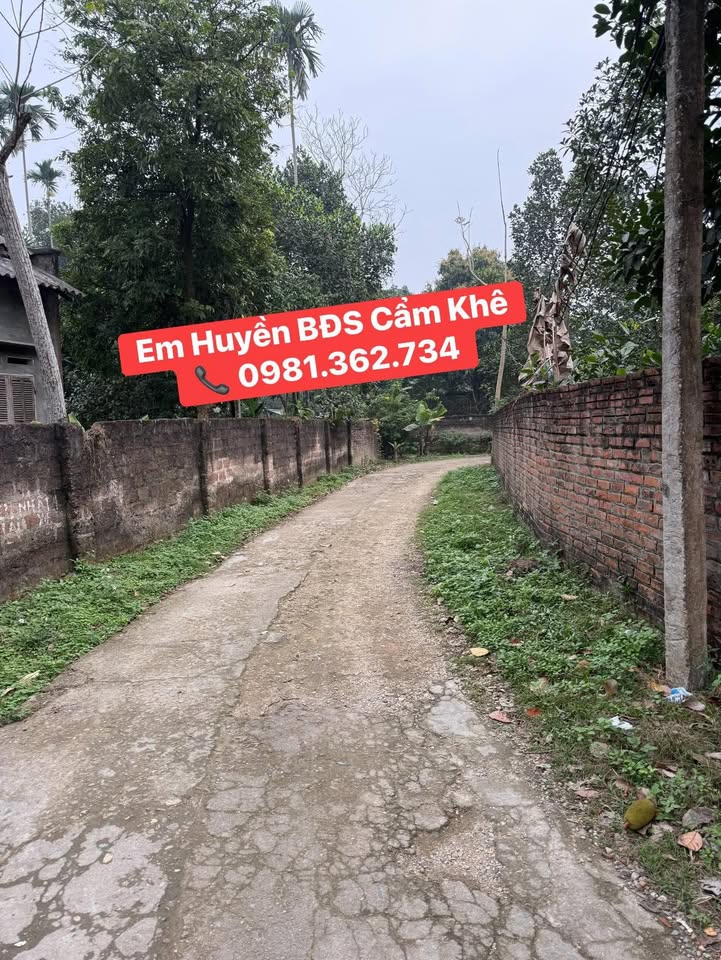 Đất nền Thị trấn Cẩm Khê 135m² - Sổ đỏ chính chủ, tiềm năng tăng giá!
