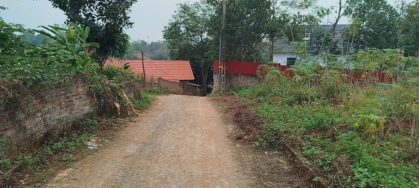 Bán đất 900m² mặt tiền 20m tại Đào Xá, Thanh Thủy, Phú Thọ - Sổ đỏ sẵn sàng