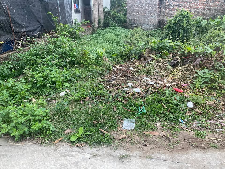 Đất Nền Sóc Sơn 56m² - Sổ Đỏ Chính Chủ, Ô Tô Vào Tận Nơi!