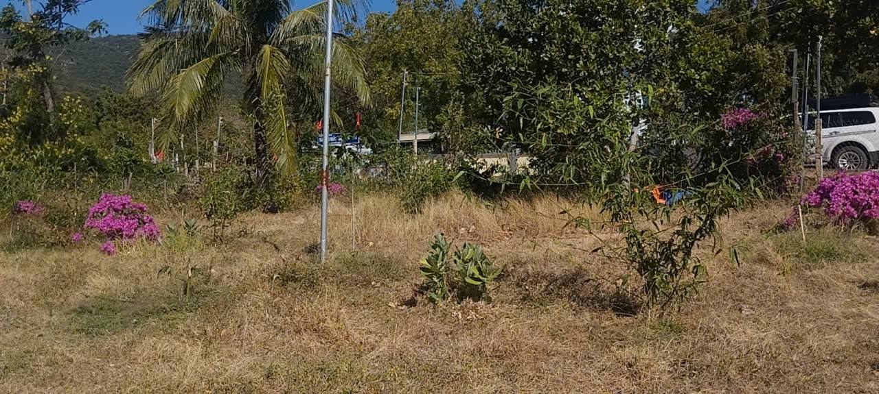 Nhà Vườn Suối Lồ Ồ Vĩnh Hy - Nghỉ Dưỡng Độc Đáo 1000m²