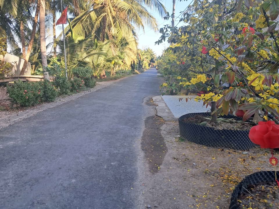 Đất vườn Càng Long Trà Vinh 6000m² giá 1.5 tỷ - Nghỉ dưỡng lý tưởng!