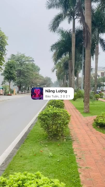 Cho thuê Mặt bằng Kinh doanh/Văn phòng Mặt tiền Quang Trung, Việt Trì - Gần Ngã tư Phù Đổng