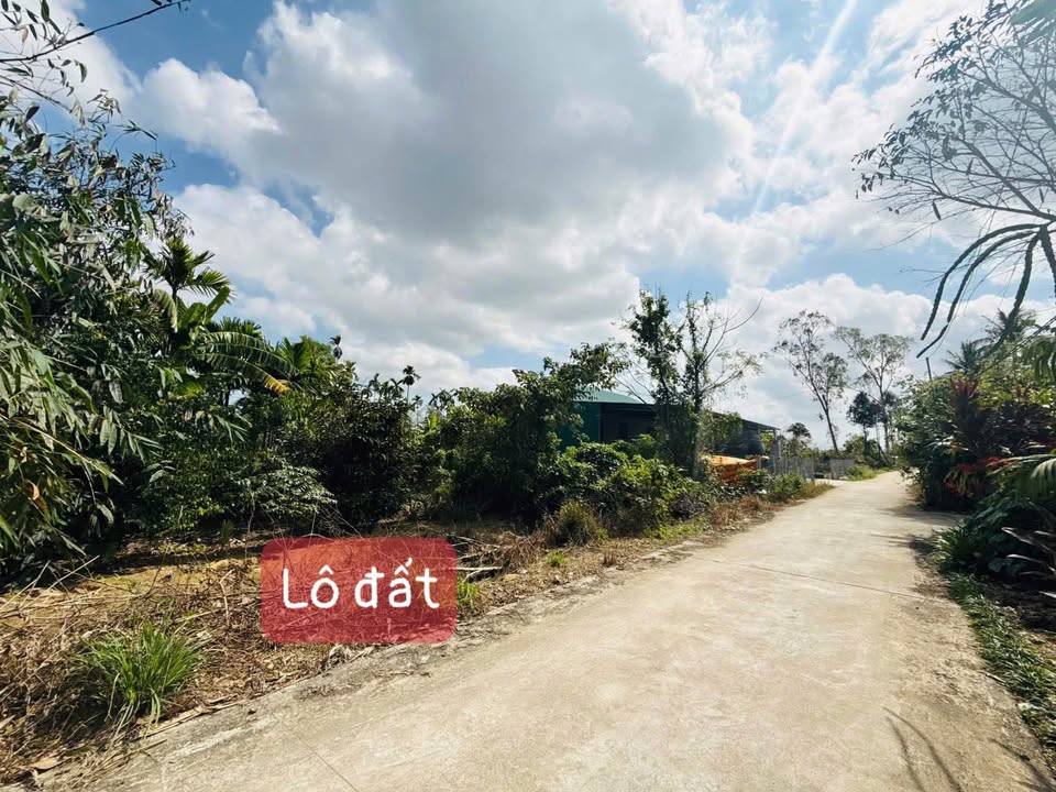 Đất nền Hương Xuân 150m² - Tiềm năng tăng giá vượt trội!