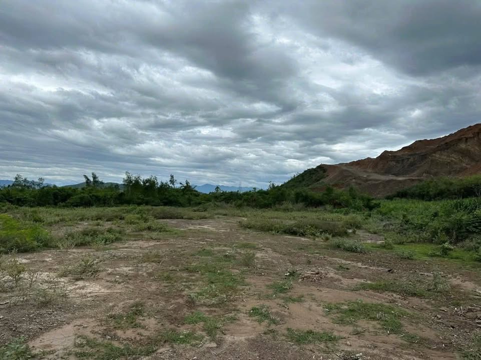 Bán đất Ninh Hòa 12.000m² giá 700 triệu - Tiềm năng tăng giá cao!