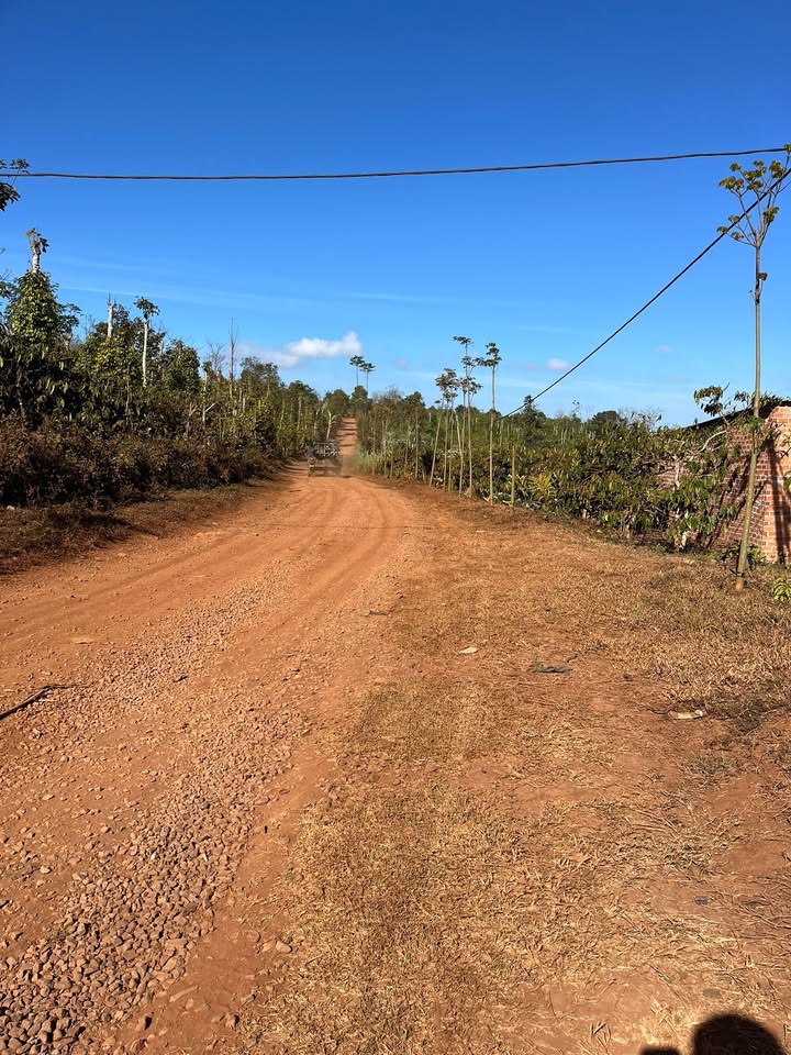 Đất Vườn Cư Dliê M'nông 7300m² - Sinh thái xanh, đầu tư tiềm năng!