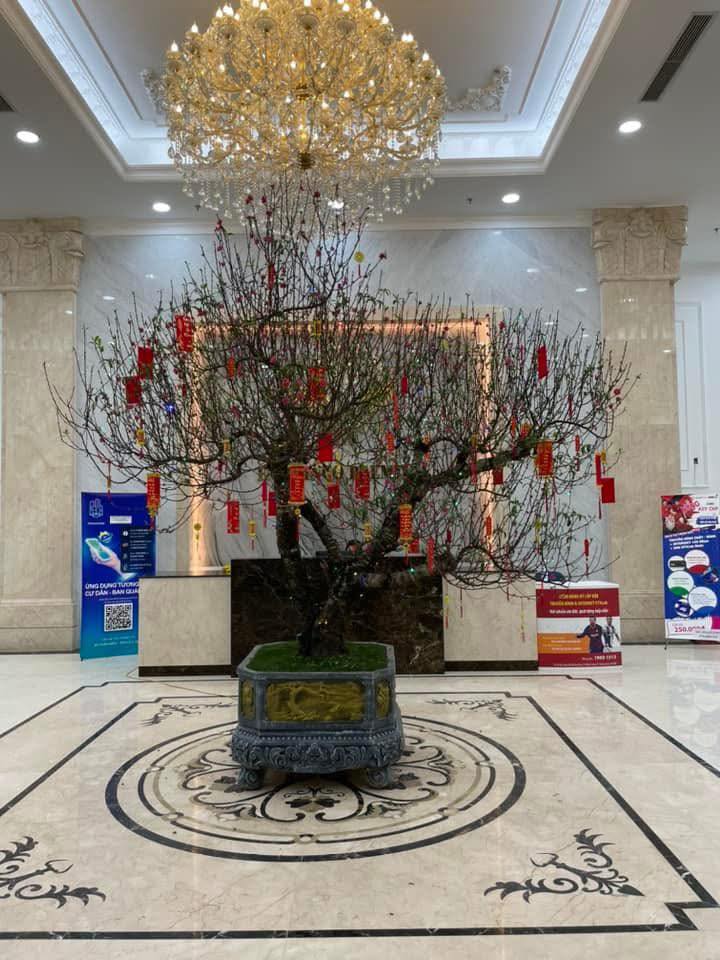 Văn phòng Chung cư Housesinco Nguyễn Xiển 80m² - Sẵn sàng làm việc!