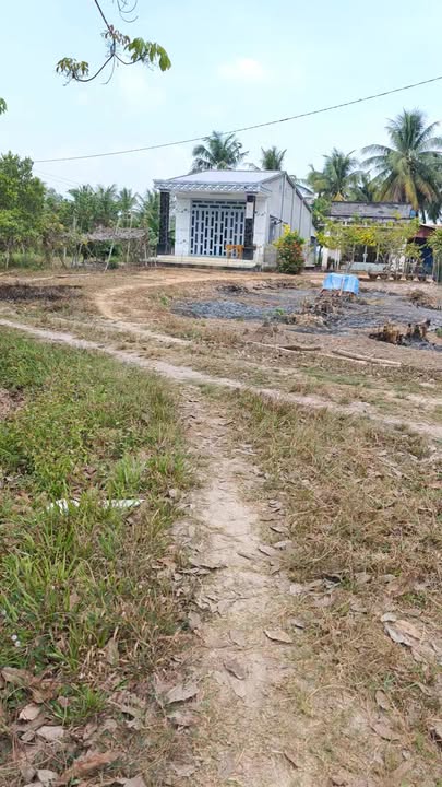 Đất nền Chòm Dừa, Châu Thành, Tây Ninh 10.000m² - Sổ đỏ chính chủ!