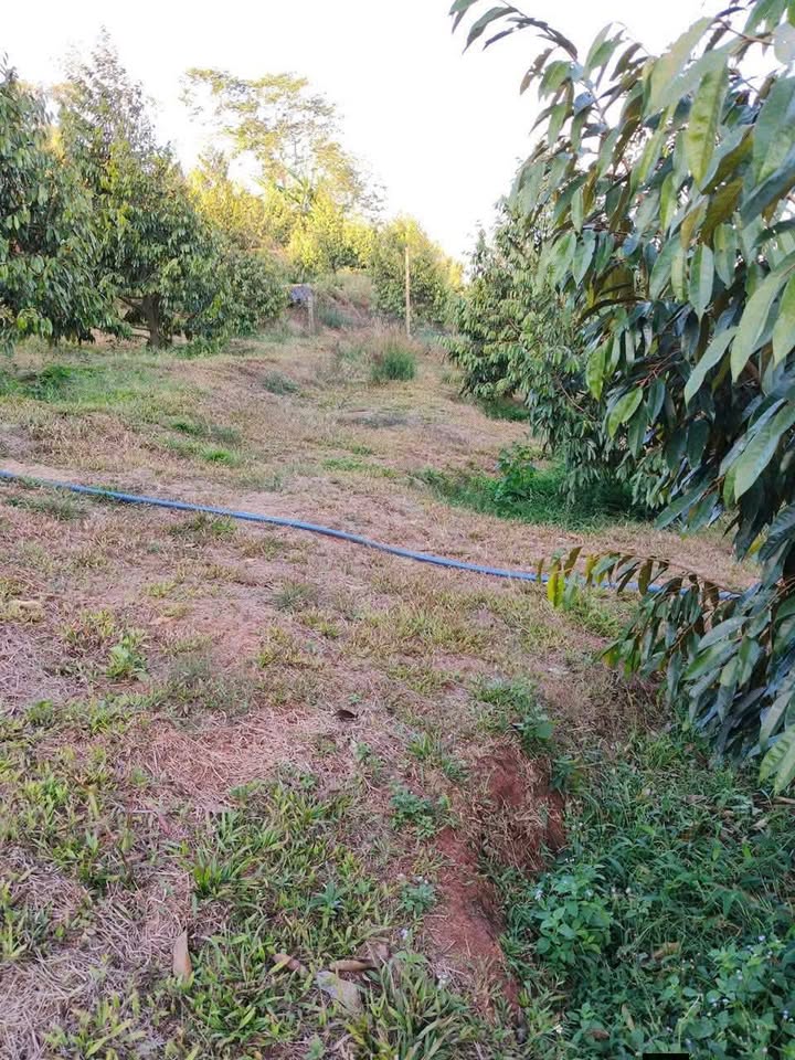 Đất Vườn Đắk Lắk - 2200m² Tại Ea Ngai, Krông Búk - Giá 2.7 Tỷ