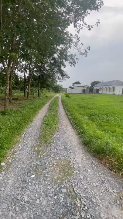 Bán Gấp Đất Vườn Gia Huỳnh - Trảng Bàng, Tây Ninh 3000m² - Giá 3 Tỷ