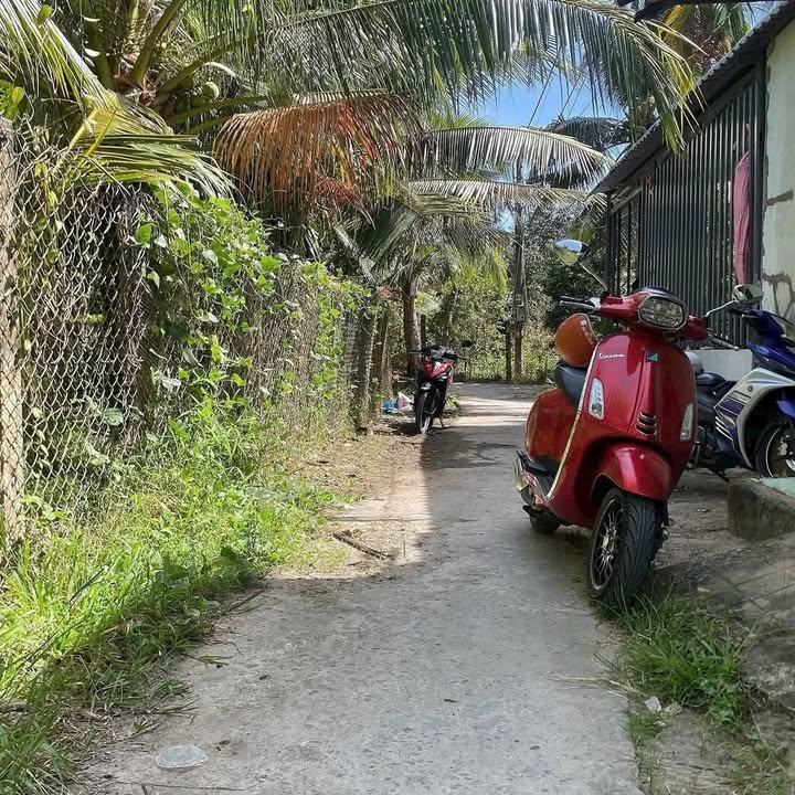 Bán nhà Phú An Hòa Châu Thành 64m² giá 550 triệu - Sổ hồng sẵn