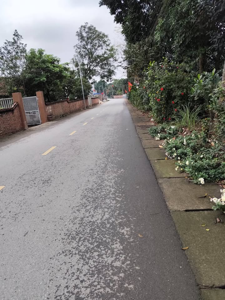 Đất nền Thanh Đình, Việt Trì 1000m² - Tiềm năng tăng giá!