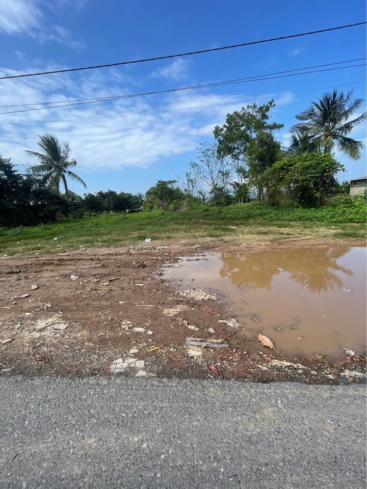 Đất Vàng Quốc Lộ 1A Phú Lộc - 224m² Sổ Đỏ, Giá 1.6 Tỷ