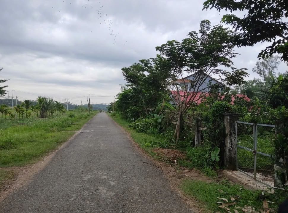 Đất nền Tam Kỳ 3300m² chỉ 1 tỷ - Tiềm năng tăng giá vượt trội!