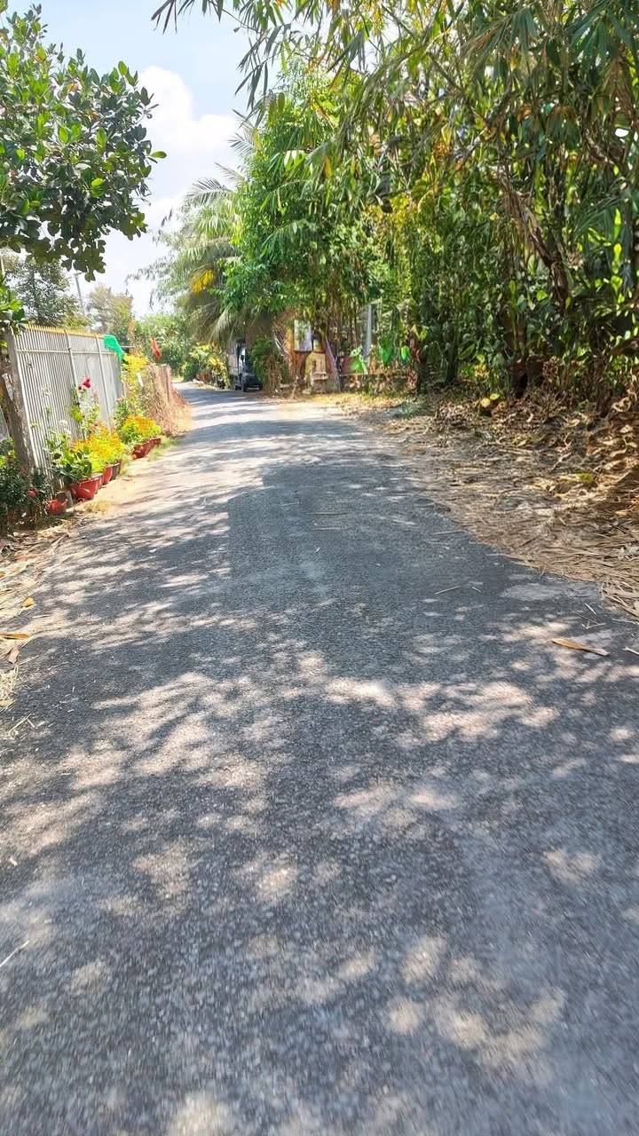 Đất nền Cai Lậy, Tiền Giang 360m² giá 1 tỷ - Sổ đỏ chính chủ