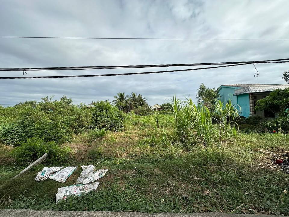 Đất nền 257m² Hướng Nam - Sổ Hồng Sẵn Sàng Tại Chợ Gạo, Tiền Giang