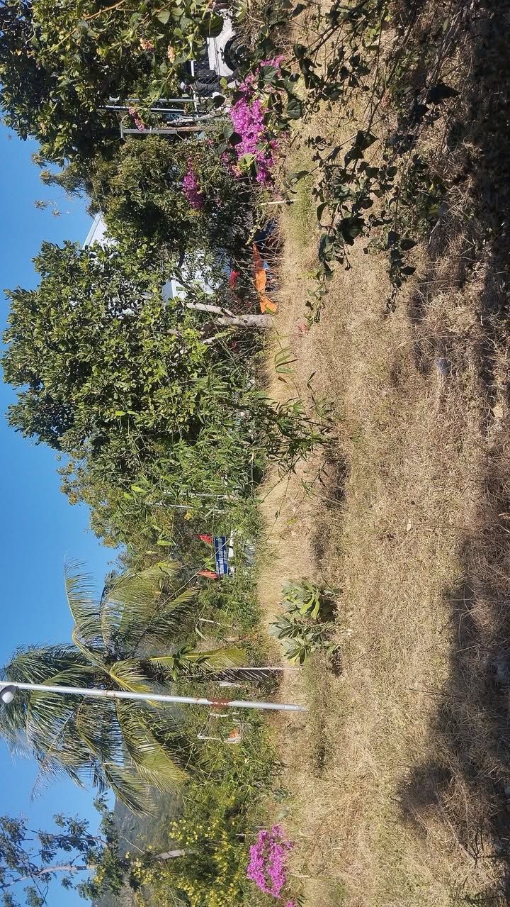 Thuê Nhà Vườn Vĩnh Hy 1000m² Chỉ 1 Triệu - View Biển Cực Chill!