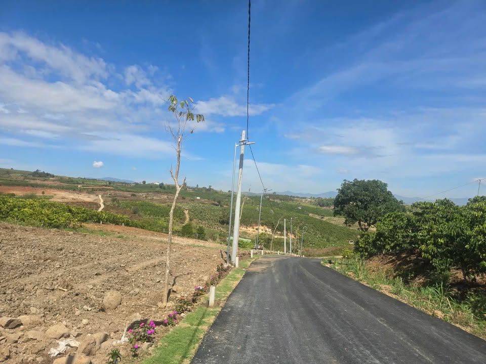 Đất Nền Lâm Hà - Sổ Sẵn, Giá Chỉ Từ 490 Triệu, View Săn Mây Đẹp