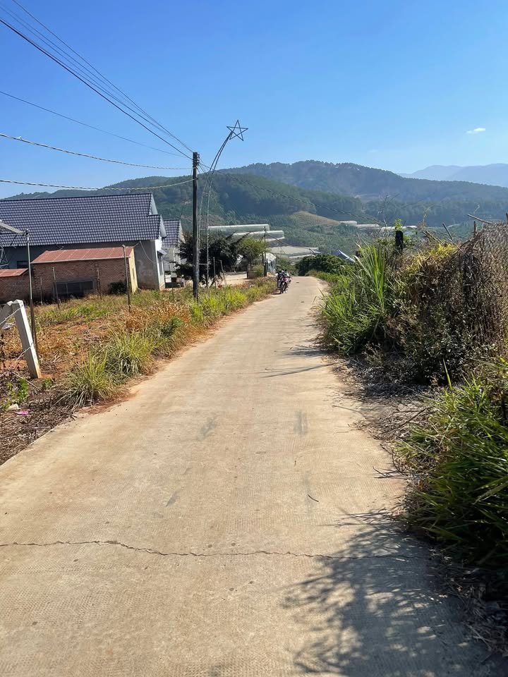 Đất nền Nam Ban, Lâm Hà 1168m² chỉ 1.35 tỷ - Sổ đỏ chính chủ!