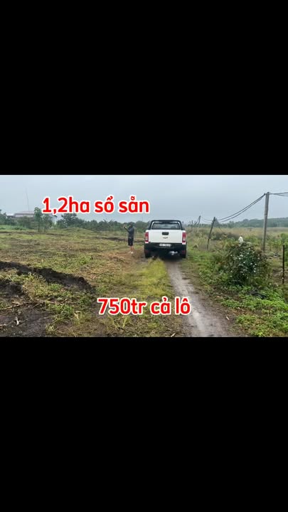 Bán Đất Vườn Đắk Mil 1.2ha Giá 750 Triệu - Nghỉ Dưỡng Lý Tưởng!