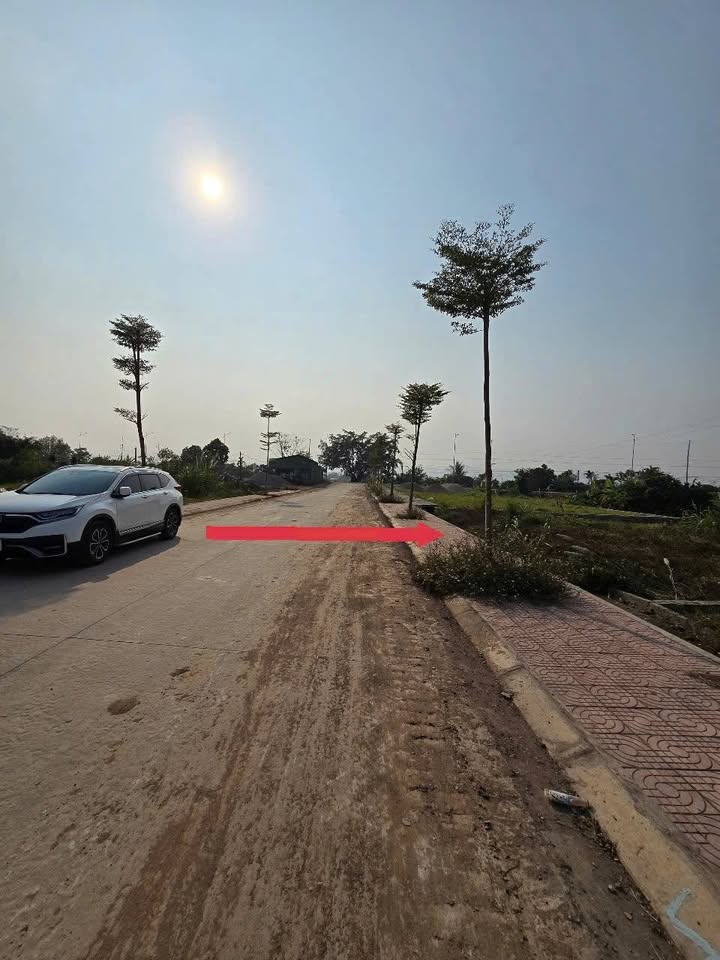 Bán đất đấu giá Phúc Sơn 110m² - Lô góc, mặt tiền 8m, giá 3.3 tỷ