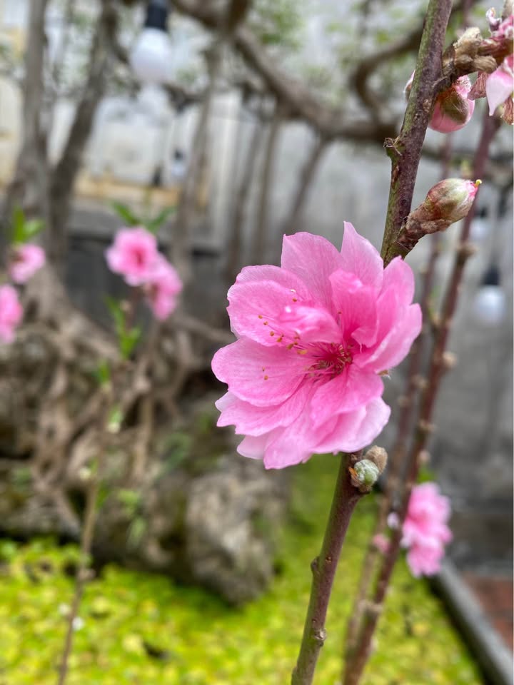 Đất nền Việt Hưng 42m² - Đầu tư sinh lời ngay hơn 5 tỷ