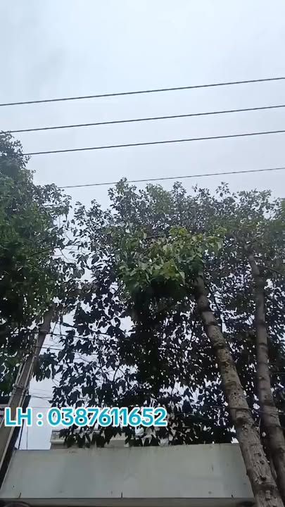 Thuê nhà mặt tiền Nguyễn Hữu Cảnh Dĩ An 120m² - Vị trí đắc địa!