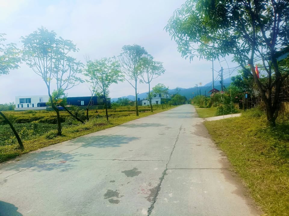 Đất nền 150m² Thạch Xuân, Hà Tĩnh - Sổ đỏ QH, Ngay trục chính tiểu học