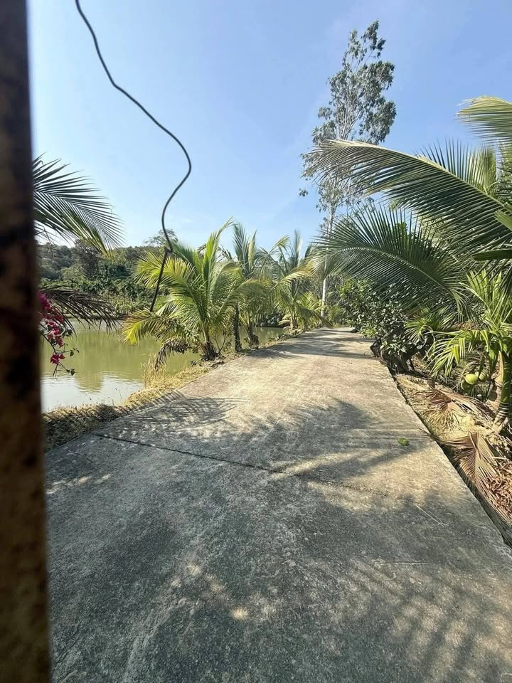 Bán đất vườn Ea Bông Krông A Na 2ha giá 2 tỷ - Nghỉ dưỡng lý tưởng!