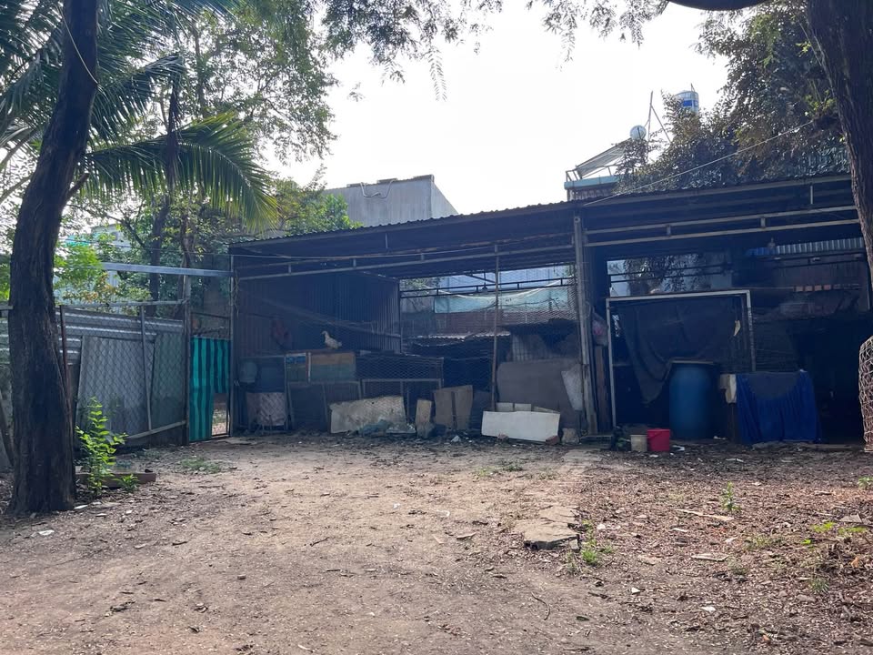 Nhà riêng Hóc Môn 90m² giá 1 tỷ - Giá tốt hiếm có!