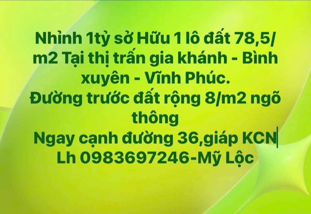 Đất Nền Vĩnh Phúc 78.5m² - Giá Chỉ 1 Tỷ - Sổ Đỏ Sẵn Sàng