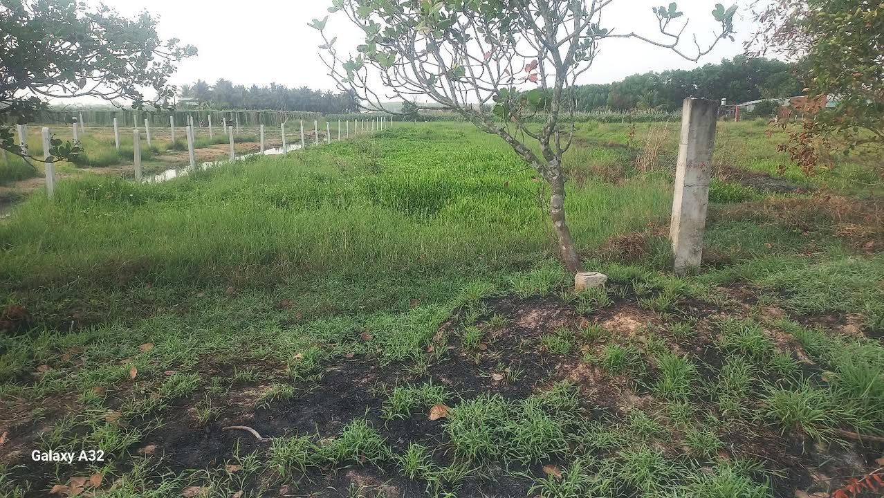 Đất nền TP. Tây Ninh 660m² giá 420 triệu - Pháp lý rõ ràng!