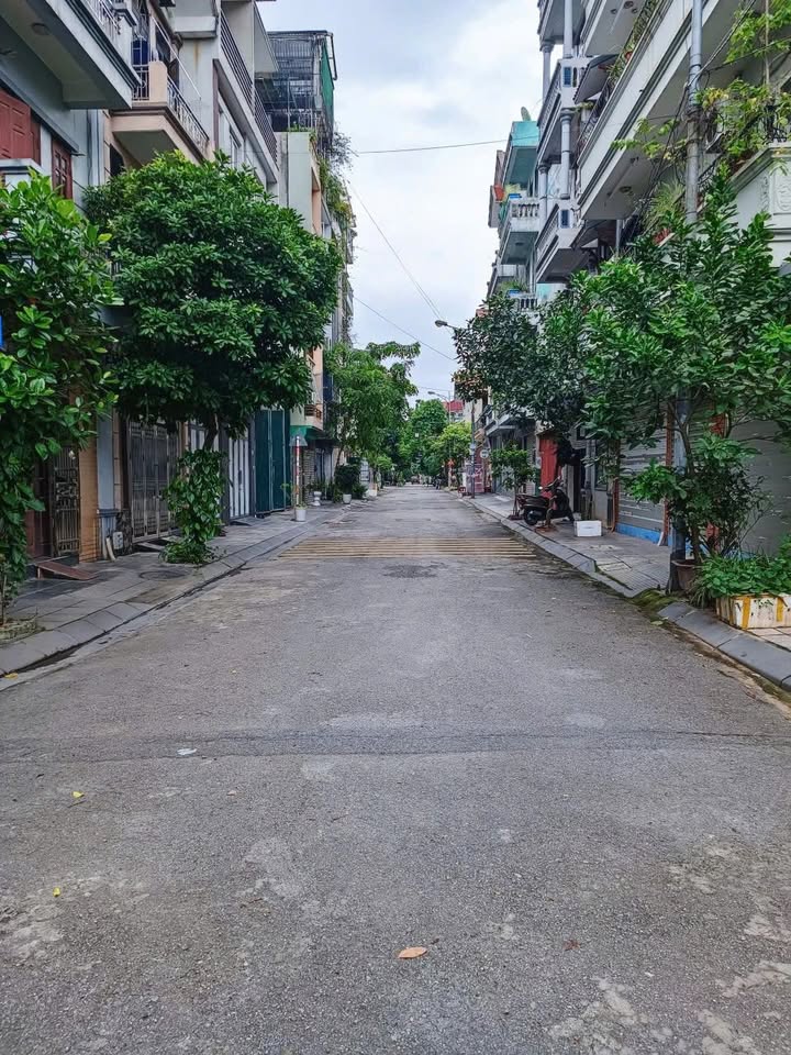 Bán đất phân lô Việt Hưng 100m² - Vị trí vàng, ô tô tránh, sổ đỏ sẵn!