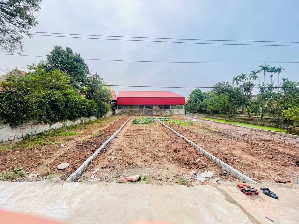 Đất nền Tràng An, Bình Lục 125m² - Giá F0 chỉ hơn 1 tỷ