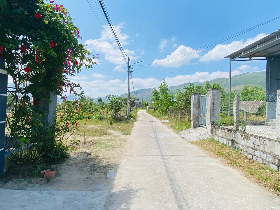 Đất nền Quy Nhơn 869m² - Sổ đỏ chính chủ, đường ô tô chạy!