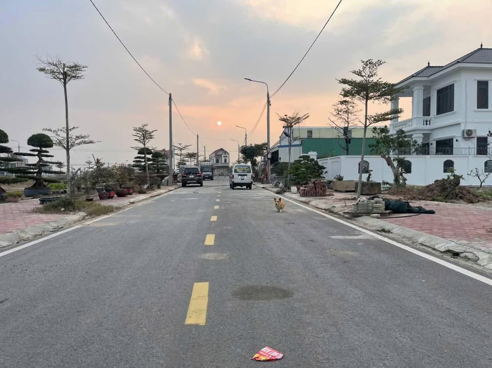 Đất nền KDC Giao Châu Nam Định 117m² - Giá đầu tư chỉ từ 1.6 tỷ