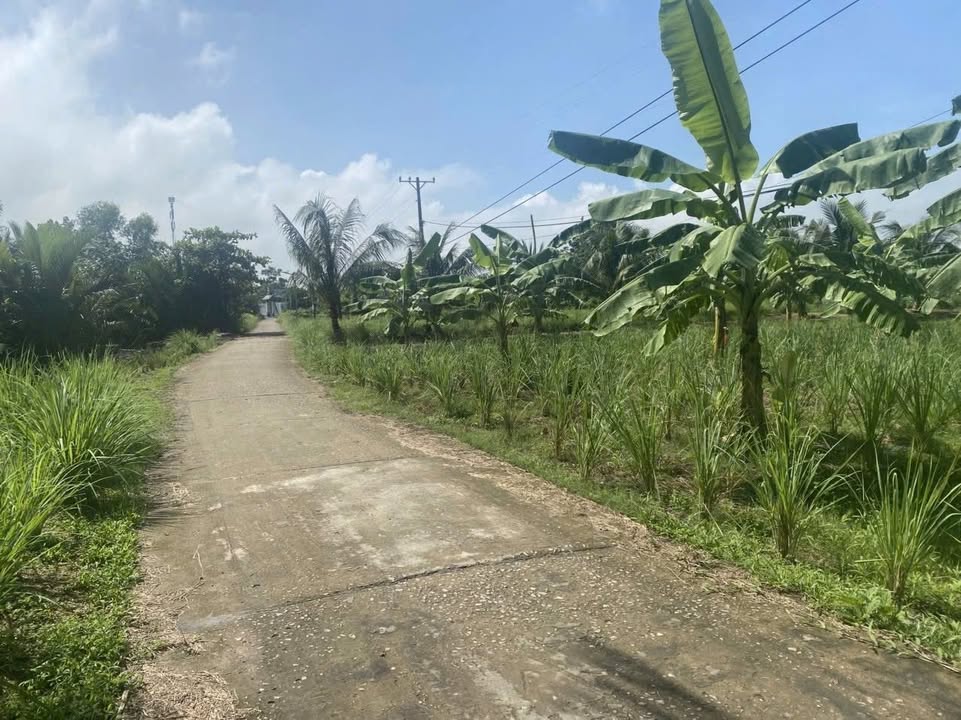 Đất Mỹ Xuyên Sóc Trăng 720m² Giá 5.5 Tỷ - Sổ Hồng Sẵn!