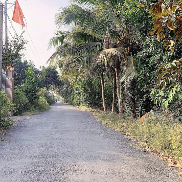 Đất nền Mỹ Quí Đồng Tháp 168m² giá 500 triệu - Sổ đỏ chính chủ