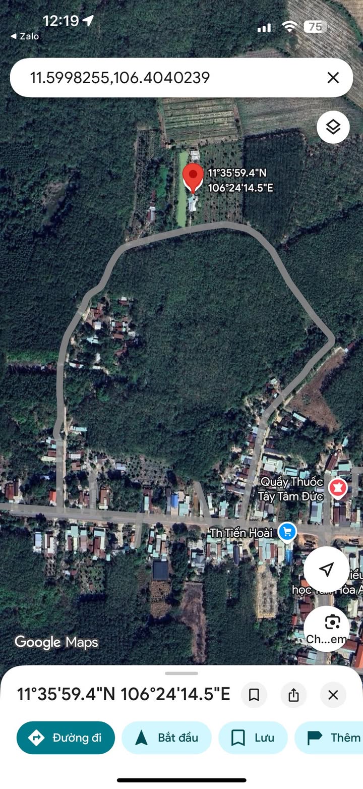 Bán Gấp Farm 25.000m² Tân Hội, Tây Ninh - Vườn Sầu Ri6/Thái, Ao Cá, Xe Hơi Vào Tận Nơi