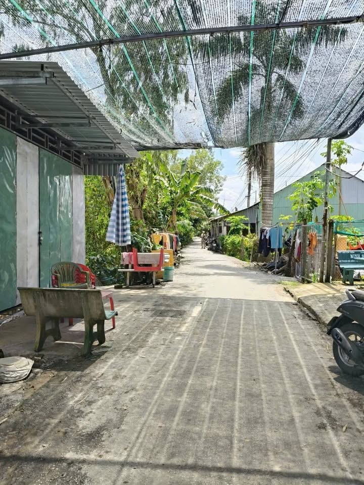 Nhà riêng Chợ Mới, An Giang 487.5m² - Sổ hồng sẵn, ô tô tận cửa!