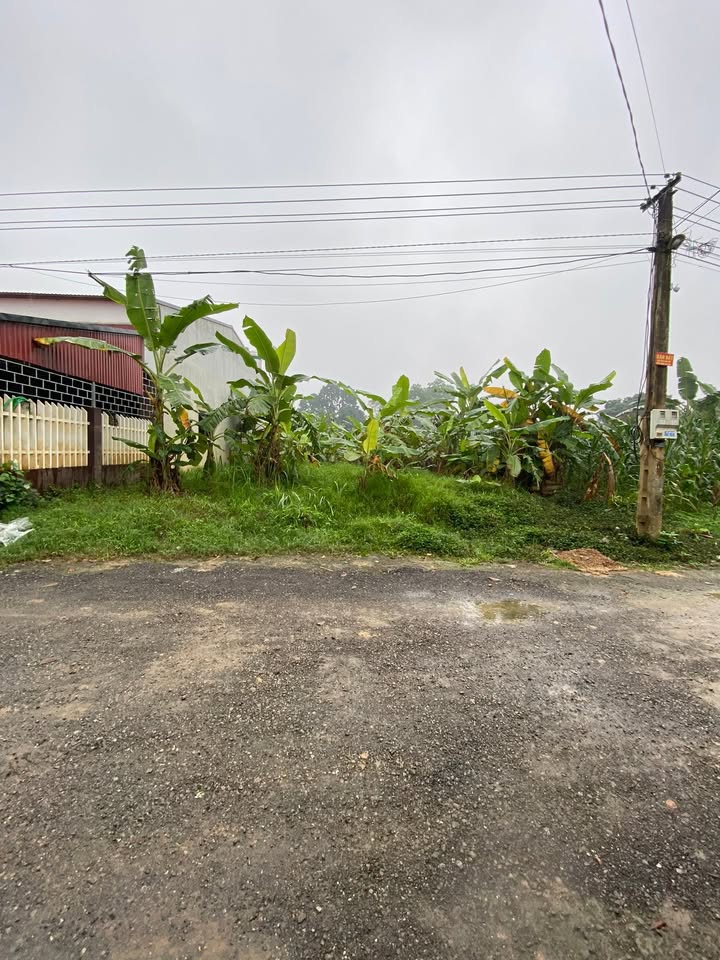 Bán Đất Chính Chủ Xã Tuy Lộc, Yên Bái - 468m² - Sẵn Sổ