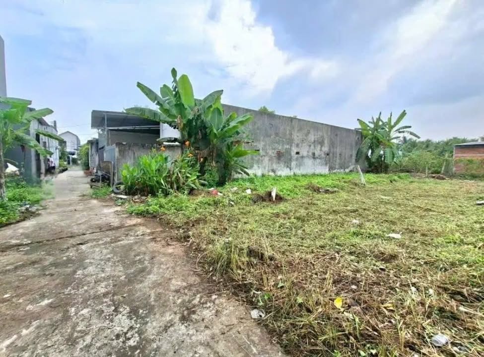 Đất nền Phường 8 Bến Tre 121m² giá 500 triệu - Pháp lý rõ ràng