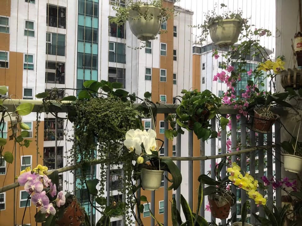 Chung cư Việt Đức Complex 93m² - 3PN hướng TB, giá 8 tỷ