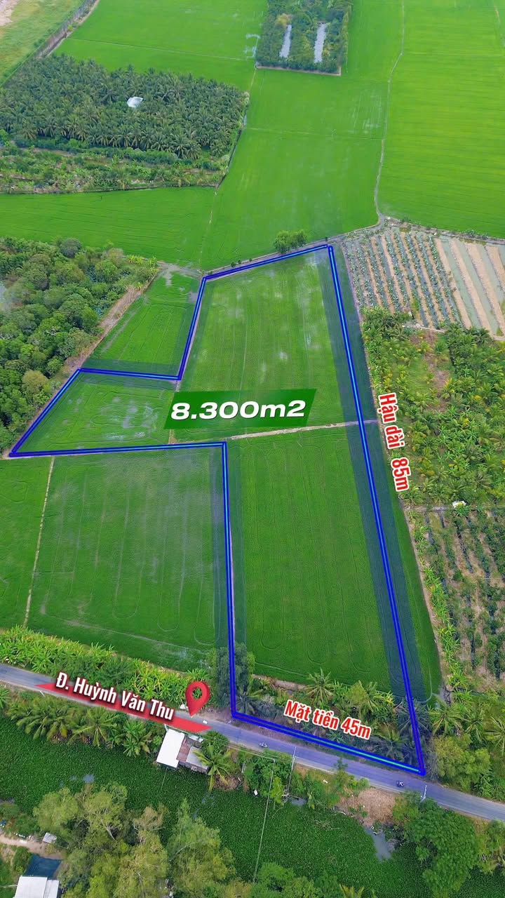 Đất lúa Châu Đốc 8300m² - Đầu tư dài hạn sinh lời!