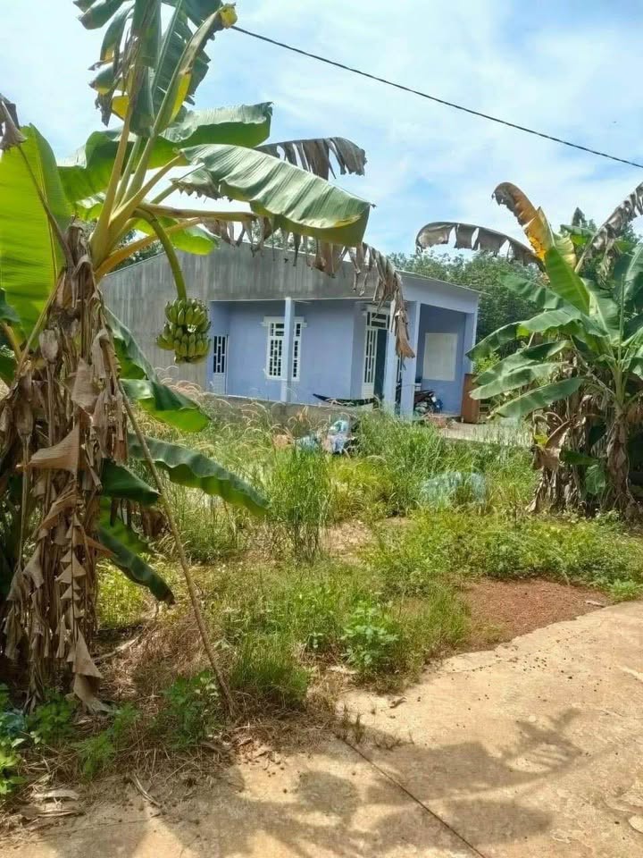 Đất nền Ấp 3 Tân Thành Đồng Xoài 210m² giá 330 triệu - Sổ đỏ chính chủ