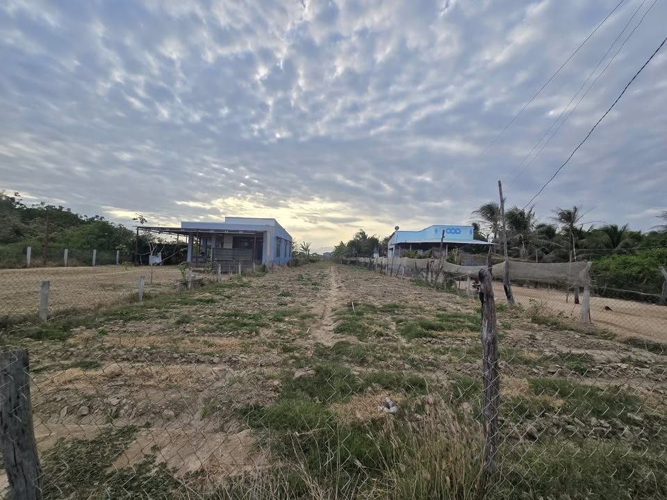 Đất HNK Long Bình 750m² - Sẵn Sàng Chuyển Thổ Cư, Giá Đầu Tư 1.1 Tỷ