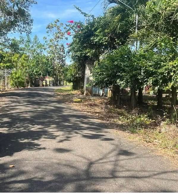 Đất vườn Tân Thành Bù Đốp 3.000m² giá 600 triệu - Đầu tư dài hạn!