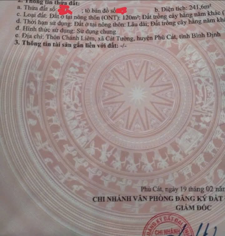 Đất nền Xã Cát Nhơn, Phù Cát 240m² - Sổ đỏ chính chủ, đường ô tô!