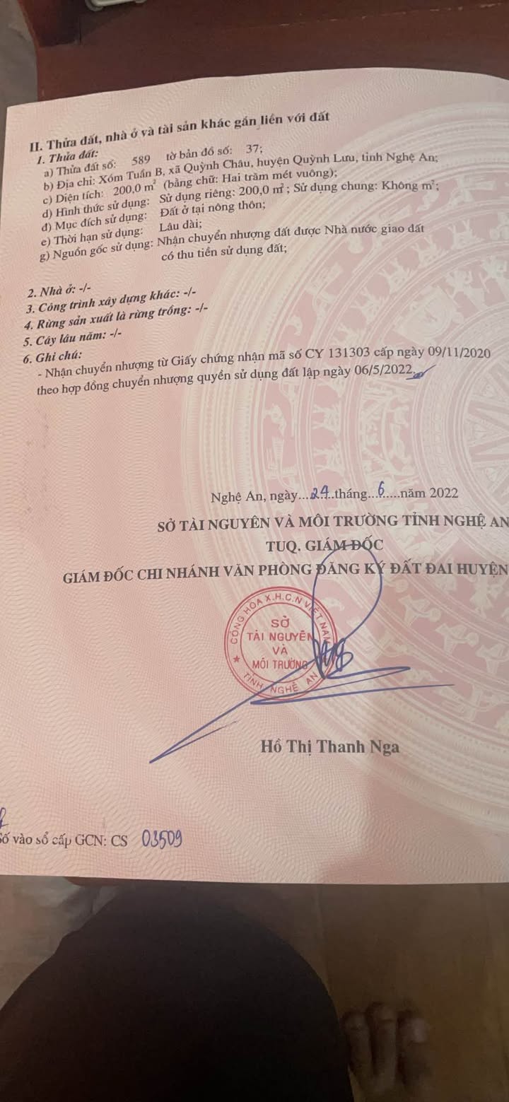 Đất nền Quỳnh Tam 200m² dưới 2 tỷ - Sổ đỏ chính chủ sẵn sàng!